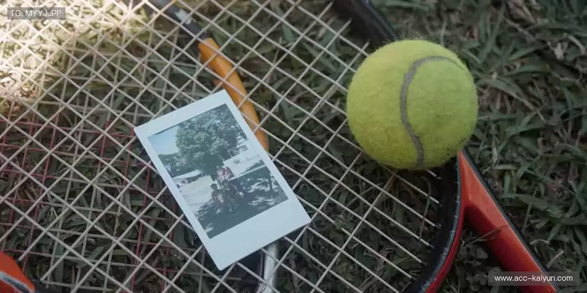 🎯 精准捕捉,不错过任何一个精彩瞬间!